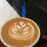 Bluebottle3.jpg